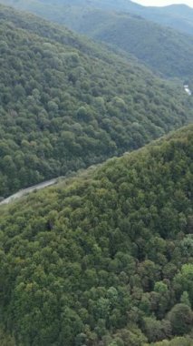 Karpat Dağları. Ukrayna. Dikey video