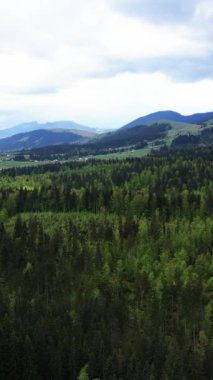 Karpat Dağları. Ukrayna. Dikey video