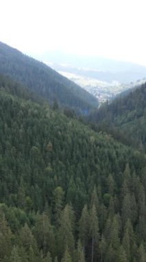 Karpat Dağları. Ukrayna. Dikey video