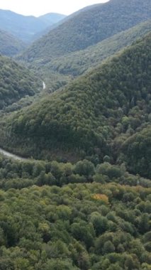 Karpat Dağları. Ukrayna. Dikey video