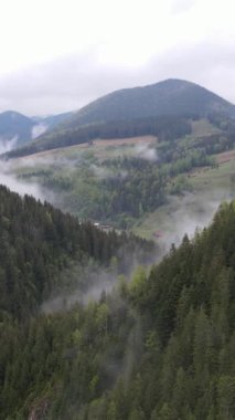 Karpat Dağları. Ukrayna. Dikey video