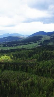 Karpat Dağları. Ukrayna. Dikey video