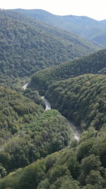 Karpat Dağları. Ukrayna. Dikey video