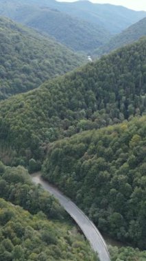 Karpat Dağları. Ukrayna. Dikey video