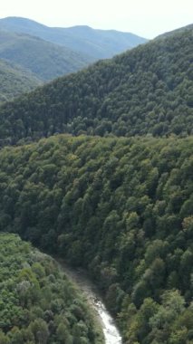 Karpat Dağları. Ukrayna. Dikey video