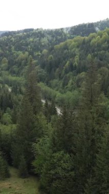 Karpat Dağları. Ukrayna. Dikey video