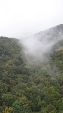 Karpat Dağları. Ukrayna. Dikey video