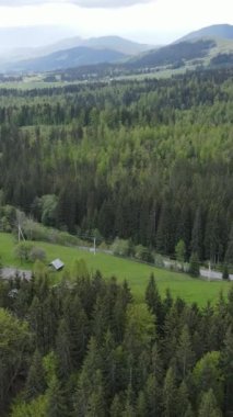 Karpat Dağları. Ukrayna. Dikey video