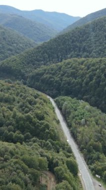 Karpat Dağları. Ukrayna. Dikey video