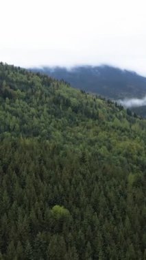 Karpat Dağları. Ukrayna. Dikey video