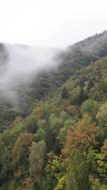 Karpat Dağları. Ukrayna. Dikey video