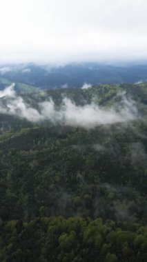 Karpat Dağları. Ukrayna. Dikey video