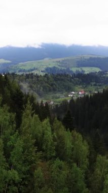 Karpat Dağları. Ukrayna. Dikey video