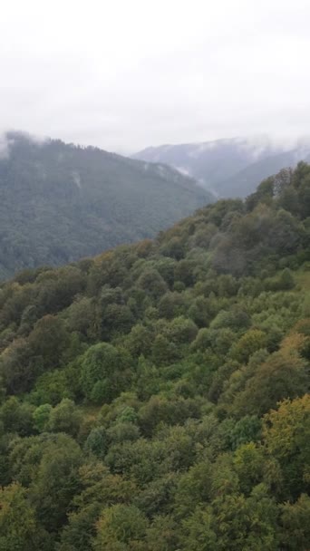 Carpathian Mountains. Ukraine. Vertical video — Stock Video
