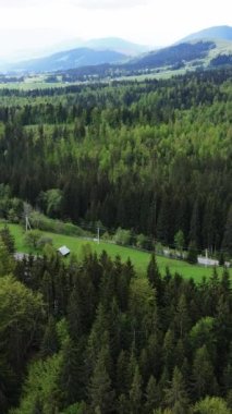 Karpat Dağları. Ukrayna. Dikey video