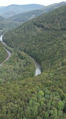 Karpat Dağları. Ukrayna. Dikey video