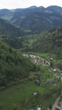 Karpat Dağları. Ukrayna. Dikey video