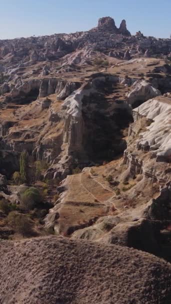 Goreme National Park nära Nevsehir stad. Turkiet. Vertikal video — Stockvideo