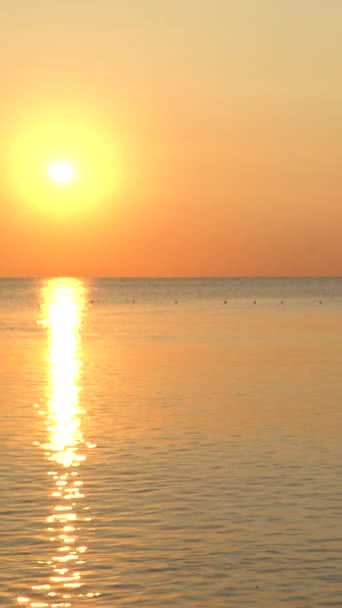 Hermoso paisaje marino: Sol sobre el mar cerca de la orilla. Vídeo vertical — Vídeos de Stock