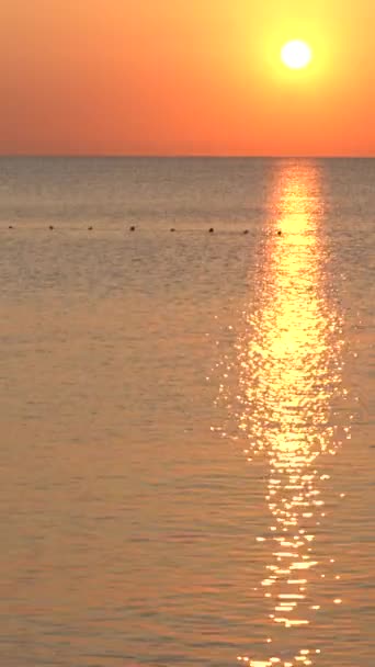 Hermoso paisaje marino: Sol sobre el mar cerca de la orilla. Vídeo vertical — Vídeos de Stock