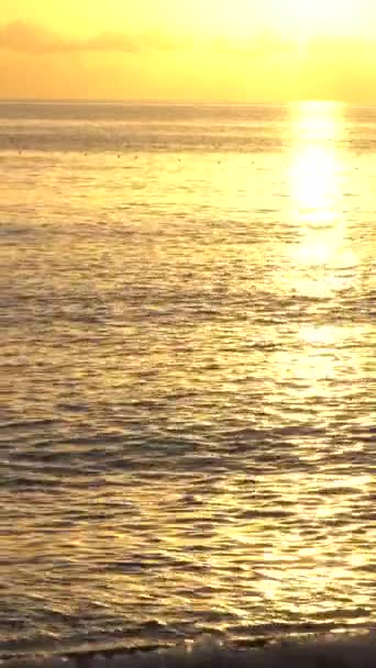 Hermoso paisaje marino: Sol sobre el mar cerca de la orilla. Vídeo vertical — Vídeo de stock