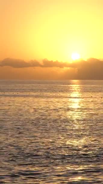 Όμορφη θαλασσογραφία: Ήλιος πάνω από τη θάλασσα κοντά στην ακτή. Κάθετη βίντεο — Αρχείο Βίντεο