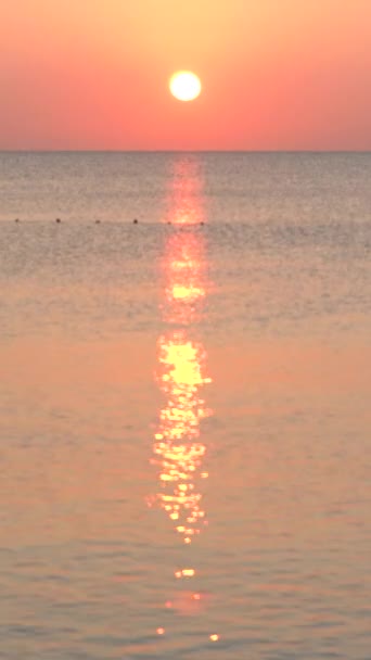 Beau paysage marin : Soleil sur la mer près du rivage. Vidéo verticale — Video