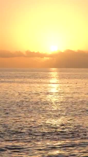 Прекрасний морський пейзаж: Сонце над морем біля берега. Вертикальне відео — стокове відео