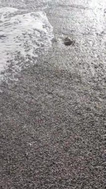 Kıyıya yakın deniz kıyısı kıyı şeridine yakın hava manzarası. Dikey video