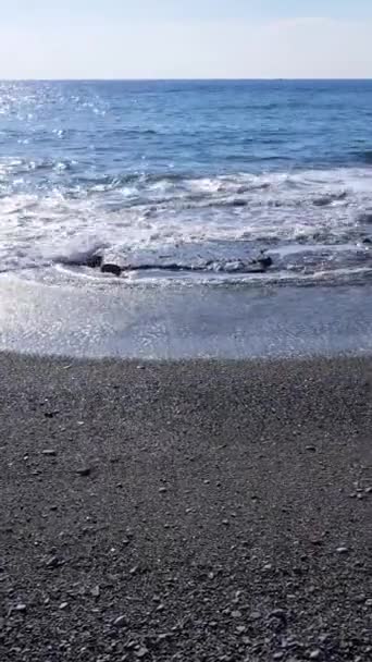 Mar cerca de la costa - vista aérea de cerca del paisaje marino costero. Vídeo vertical — Vídeo de stock