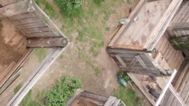 Sokak köpekleri için hava manzaralı bir barınak. Dikey video
