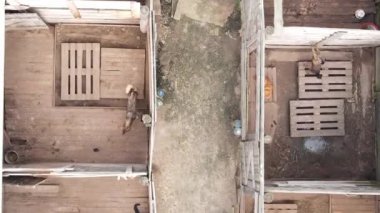 Sokak köpekleri için hava manzaralı bir barınak. Dikey video
