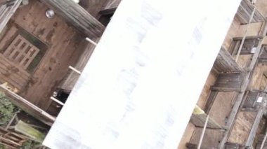 Sokak köpekleri için hava manzaralı bir barınak. Dikey video