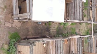 Sokak köpekleri için hava manzaralı bir barınak. Dikey video