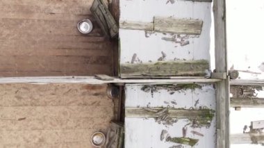 Sokak köpekleri için hava manzaralı bir barınak. Dikey video