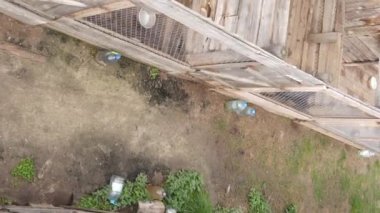 Sokak köpekleri için hava manzaralı bir barınak. Dikey video