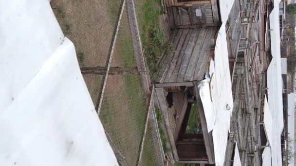 Вид с воздуха на приют для бродячих собак. Вертикальное видео — стоковое видео