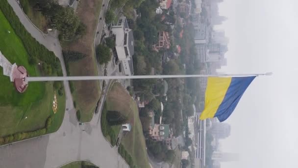 Bandeira nacional da Ucrânia por dia. Vídeo vertical — Vídeo de Stock