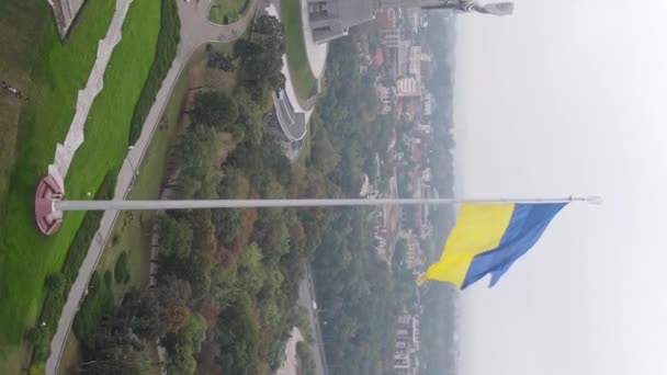 Bandera nacional de Ucrania por día. Vídeo vertical — Vídeo de stock