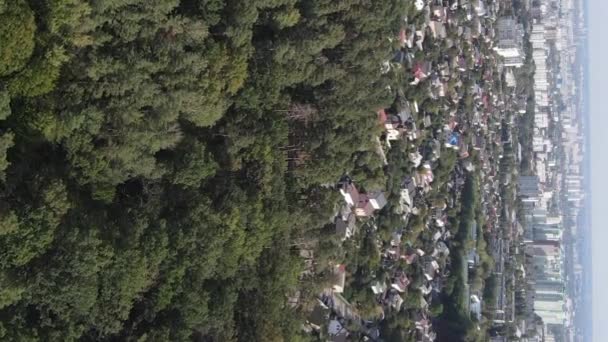 Вид з повітря на кордон мегаполісу та лісу. Вертикальне відео — стокове відео
