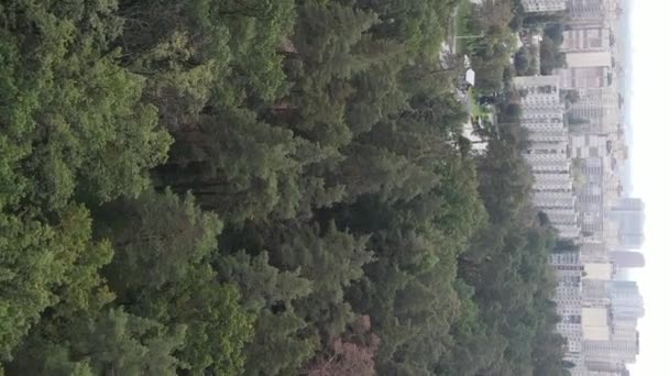 Vista aérea de la frontera de la metrópolis y el bosque. Vídeo vertical — Vídeos de Stock