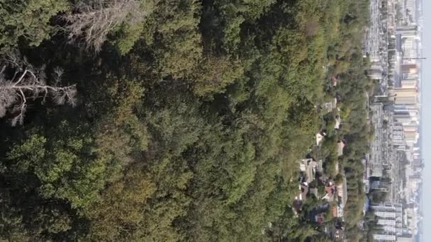 Letecký pohled na hranici metropole a lesa. Svislé video — Stock video
