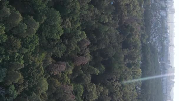 Вид з повітря на кордон мегаполісу та лісу. Вертикальне відео — стокове відео
