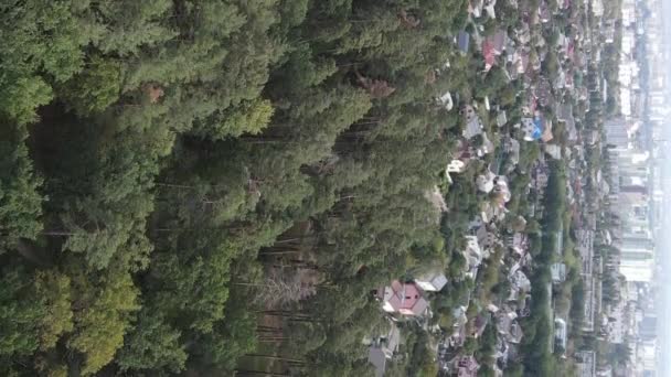 Вид с воздуха на границу мегаполиса и леса. Вертикальное видео — стоковое видео