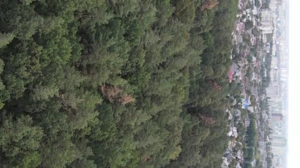 Vista aérea da fronteira da metrópole e da floresta. Vídeo vertical — Vídeo de Stock