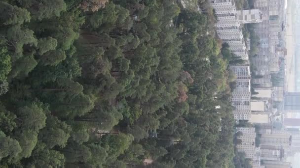 Vista aérea da fronteira da metrópole e da floresta. Vídeo vertical — Vídeo de Stock