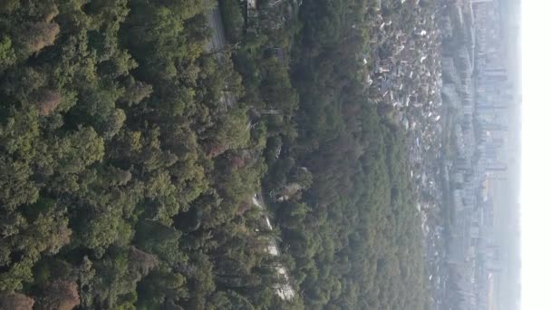 Vista aérea da fronteira da metrópole e da floresta. Vídeo vertical — Vídeo de Stock