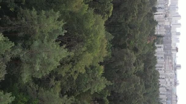 Luftaufnahme der Grenze zwischen Metropole und Wald. Vertikales Video — Stockvideo