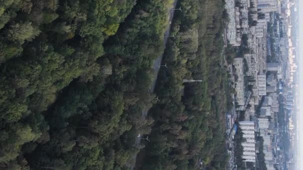 Αεροφωτογραφία των συνόρων της μητρόπολης και του δάσους. Κάθετη βίντεο — Αρχείο Βίντεο
