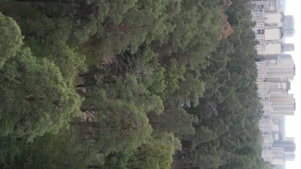 Aerial view of the border of the metropolis and the forest. Vertical video — Stock Video